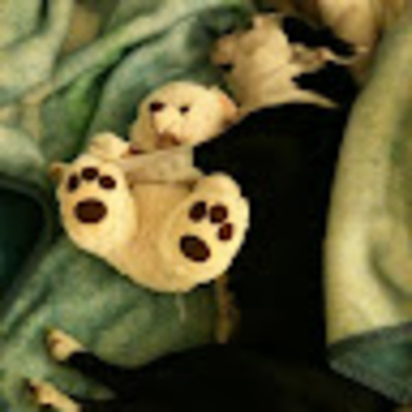 Meet your Posher, Chris - Picture 1 of 1